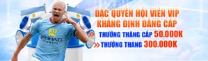 Cược thể thao trực tuyến